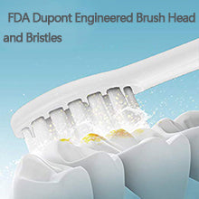 Conava Electric Toothbrush with 2 Brush Head Waterproof Sonic Toothbrush by Battery Powered Portable Design for Daily Oral Care Travelling (White)